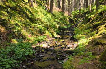 Haus Rosengarten - Foto 30