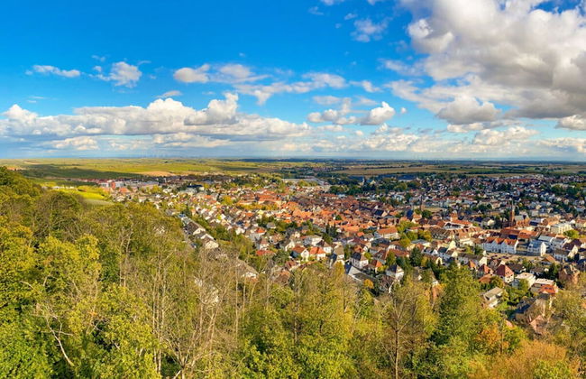 Holiday Apartment Faller-greiner - Photo 7