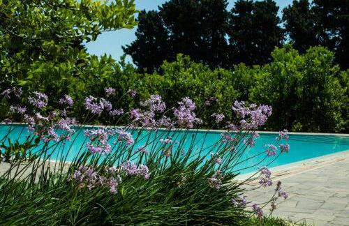 Chiusa Di Carlo Agriturismo - Foto 46