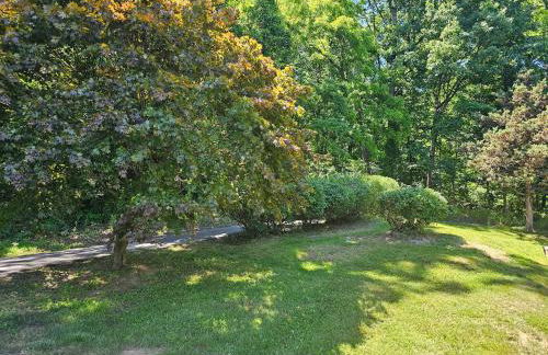 Vinewood Estate & Adventures - Foto 24