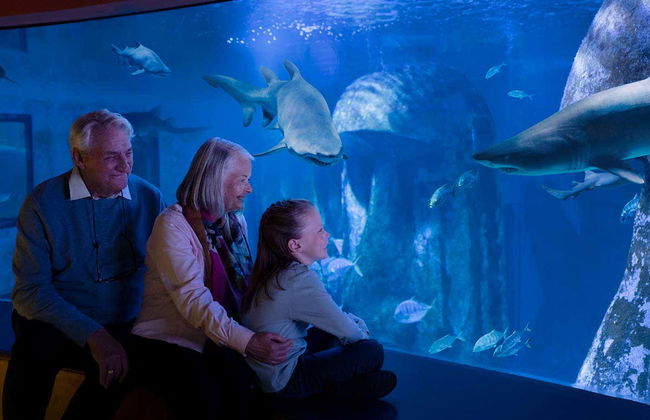 Entrada al Sea Life London - Foto 4