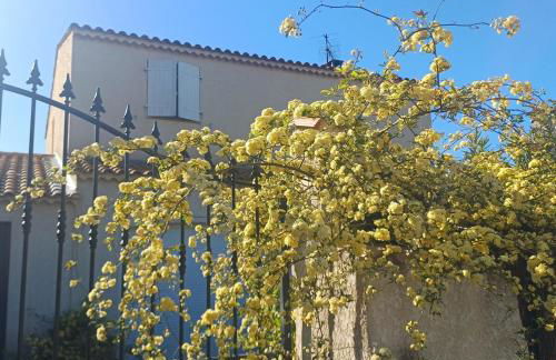 Studio cosy, terrasse, logement entier Aix-en-Provence - Foto 37