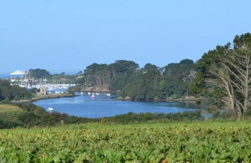 Gîte entre terre et mer à Plouarzel - Foto 8