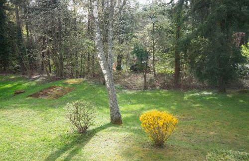 Un séjour ressourçant en Alsace entre vignes et montagnes l'Escapade Barochaise à 20mn de Colmar - Foto 20