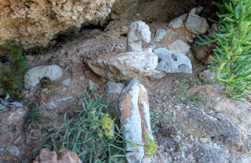 Apartments TOM - Photo 2