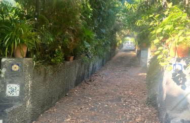 Mediterraneo Apartment - Foto 16