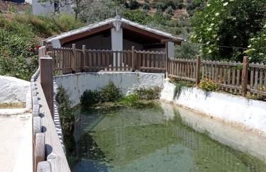 El Almendro De La Tia Teresa - Foto 31