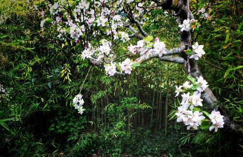 Casa rural Quevedo - Foto 29