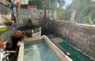 Villa Raffaela - Appartamenti Lacco Ameno - Foto 35