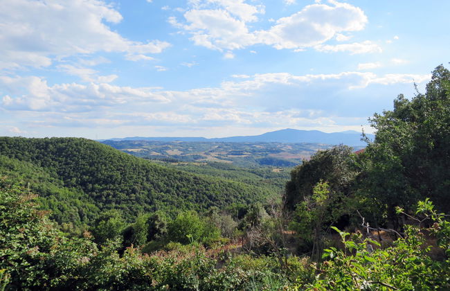 Paradiso Selvaggio - Foto 6