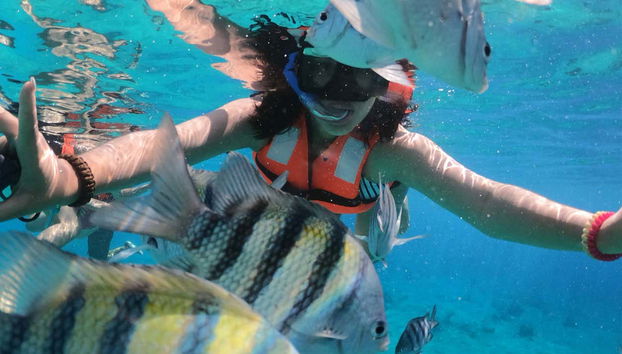 Snorkeling in Cozumel