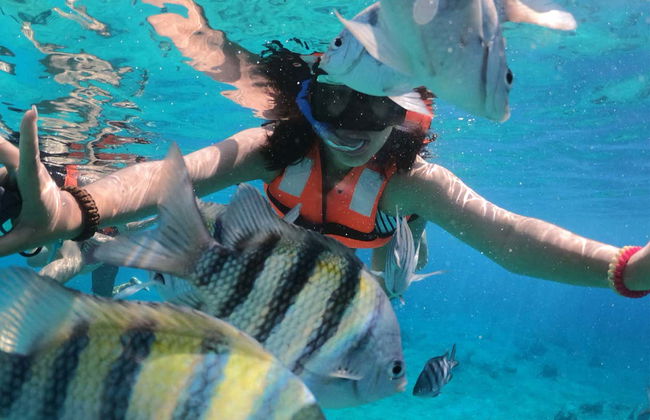 Cozumel Clear Boat Tour + Snorkel - Photo 4