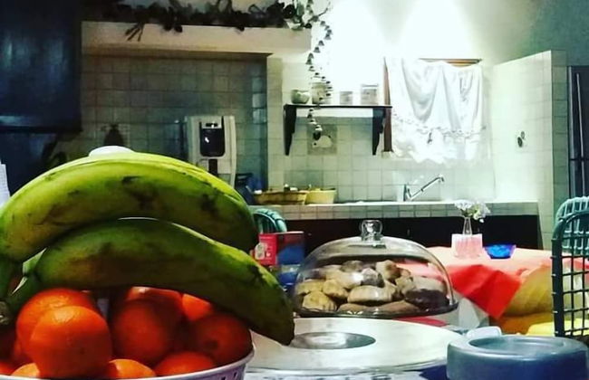 All'ombra del palmeto - Foto 42