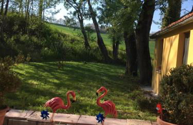 Agriturismo Fattoria del Colle - Foto 7