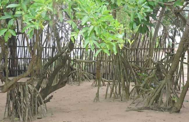 Akain Villa & Holiday Home - Foto 15