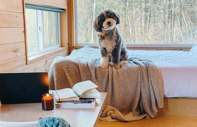 Postcard Cabins Machimoodus, Outdoor Collection by Marriott Bonvoy - Foto 11