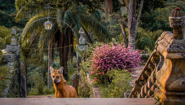 Caraça Sanctuary Excursion - Foto 2