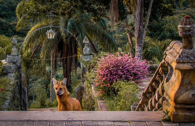 Excursão ao Santuário do Caraça em Catas Altas - Foto 2