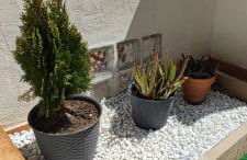 Refugio de los Sueños - Foto 32