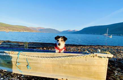 Luxurious mountain retreat lodge Hunters Quay - Foto 46