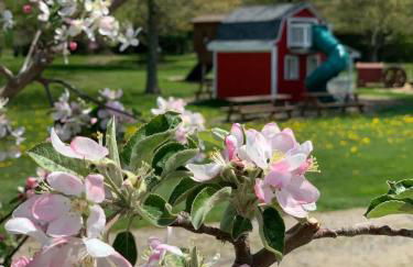 The Sansa Suite at Brants Apple Orchard - Foto 16