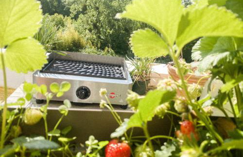 L'Olympique: appartement cosy, vue canal grande terrasse et parking - Foto 6