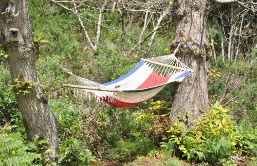 Finca el Roque - Photo 48