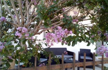 The judas trees - Foto 25