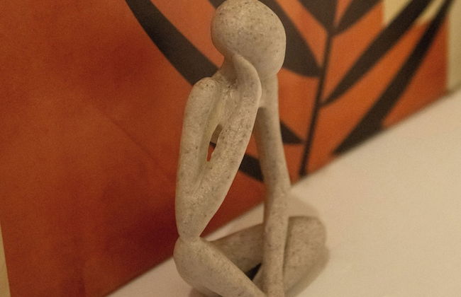 A l'Orange Sanguine - Gîte Binche - Foto 23