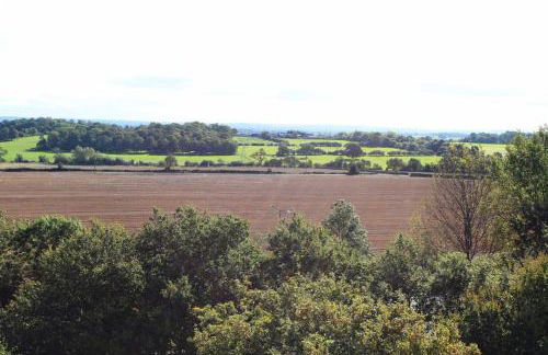 Sapphire House Apartments - Photo 62