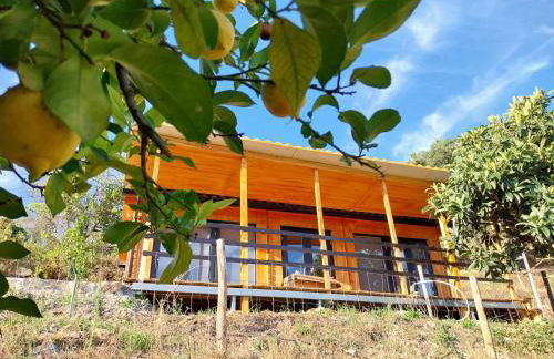 Villa dos Pensamentos - Foto 44