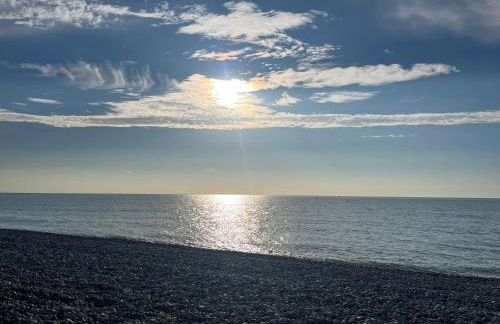 Cayeux sur oiseaux - Foto 12