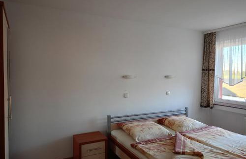 Willa Rubin - Foto 40