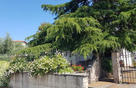 Sunshine Home - Foto 3