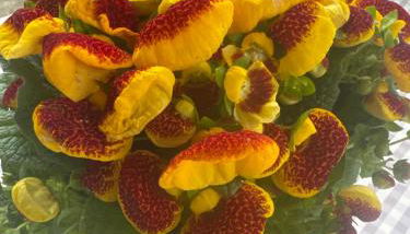 Nostro Rifugio - Photo 4