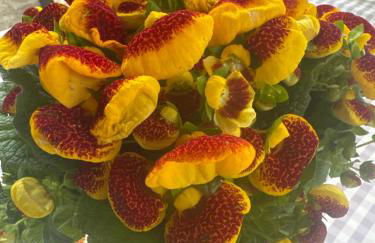 Nostro Rifugio - Foto 4