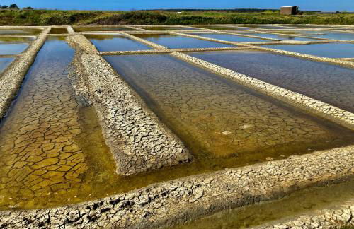 CASSIOPEE - Face MER - Photo 18