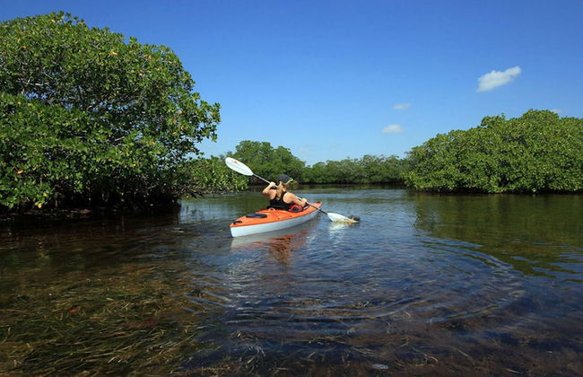Pelican Gardens Studio 3 on Lido Key - Foto 21