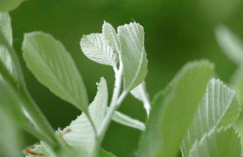 Natur-Aktiv-Hof Thiem - Foto 67