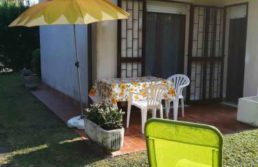 Prato Verde - Girasole - Foto 27