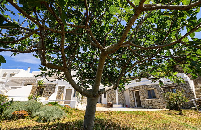 9 Muses Villas Mykonos - Photo 16