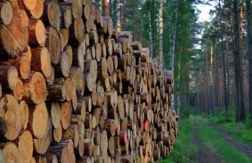 Elite-Ferienhaus mit Garten in Spreenhage - Foto 19