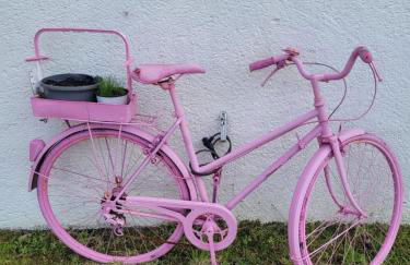 Dolce Vita - Photo 11