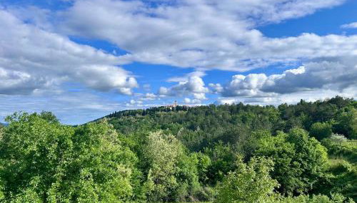 Santa Lucia App - Foto 5