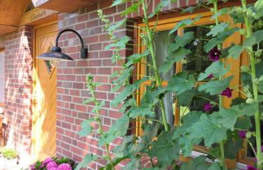 Ferienhof Trapp Heuhotel - Foto 49