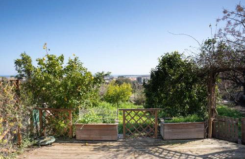 Corsica Fiurita - Foto 17