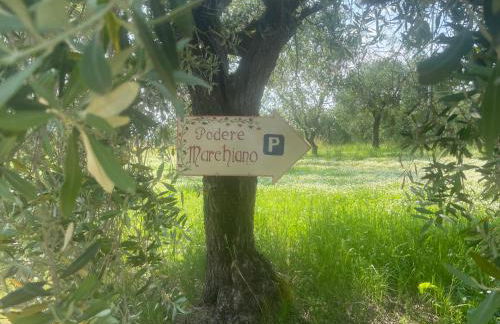 Agriturismo Podere Marchiano - Foto 59