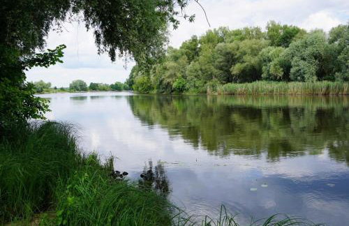 Ferienwohnung Havelnixe - Photo 6