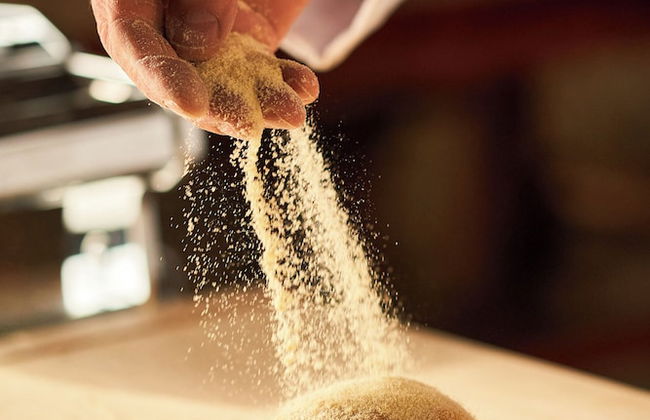 Fattoria la Loggia - Foto 26