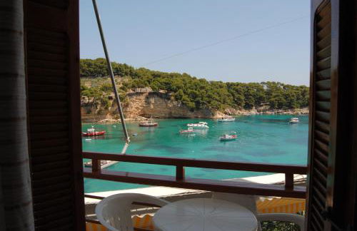 Pension Dimitris - Photo 21